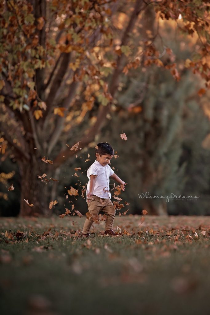 Professional Photographers Johannesburg